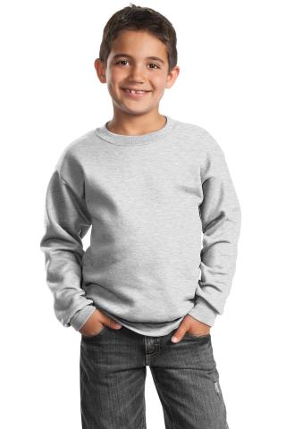 Youth Crewneck Sweatshirt